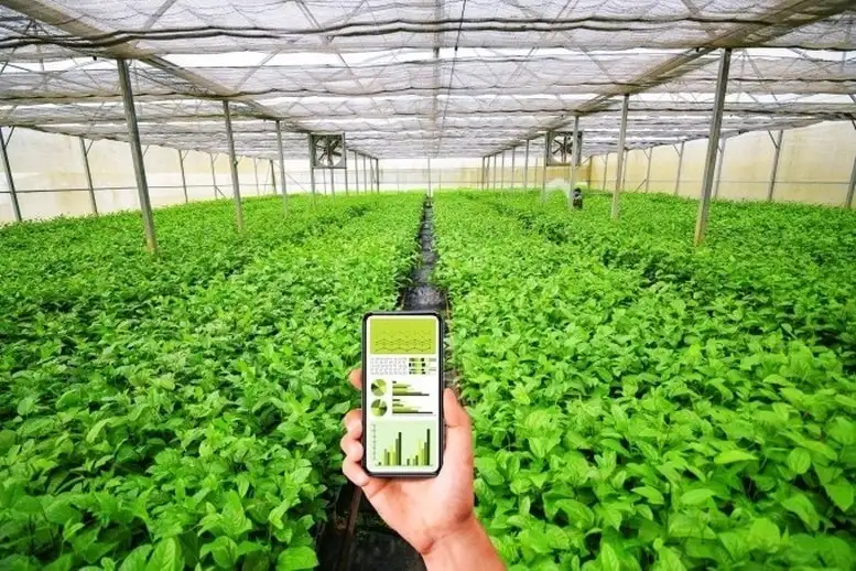 Lào Cai phát huy hiệu quả mô hình HTX điện tử, ứng dụng công nghệ cao