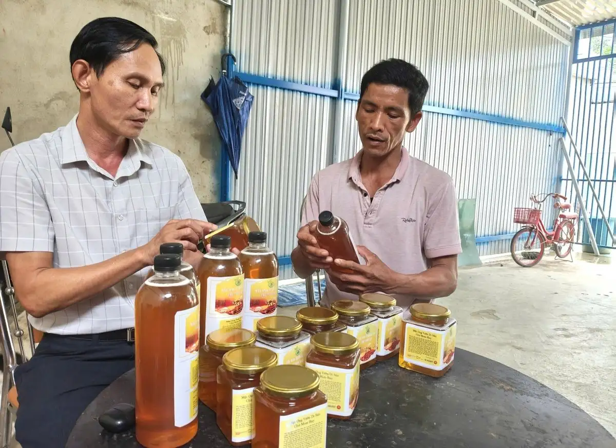 Lợi ích kép mô hình nuôi ong ở Vườn quốc gia Chư Mom Ray