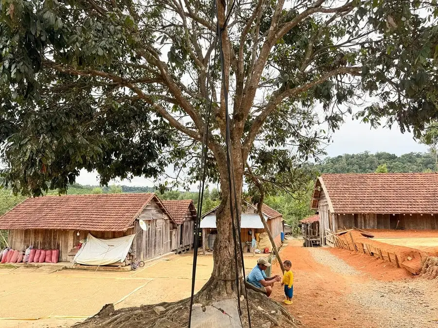 Một làng du lịch cộng đồng ở Gia Lai mộc mạc, chân chất thôi sao mà hút khách đến chơi?