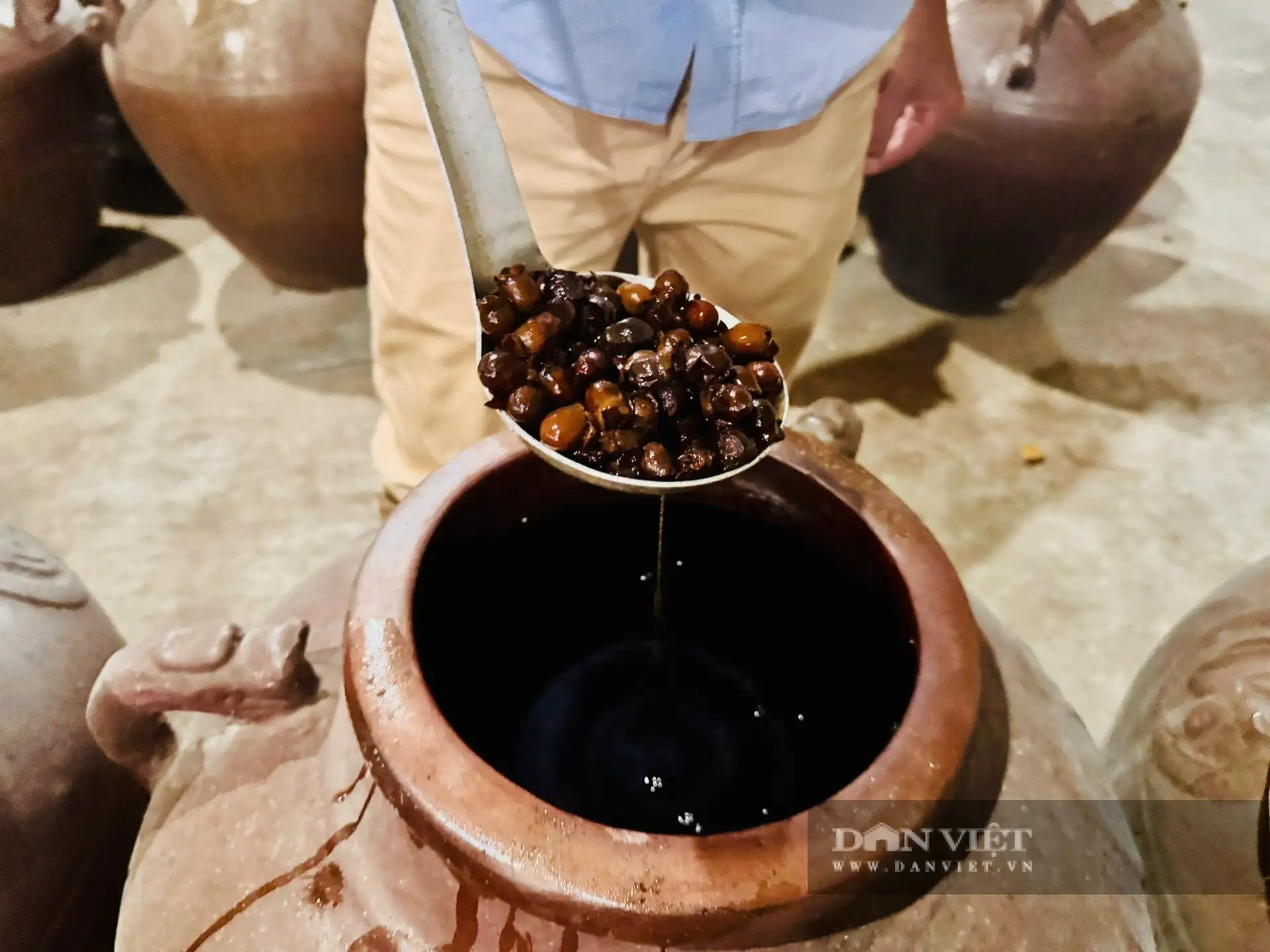 Một người quê Nghệ An biến quả dại- đặc sản Phú Quốc-Kiên Giang, nay là tỉnh An Giang thành sản phẩm đạt 3 sao OCOP