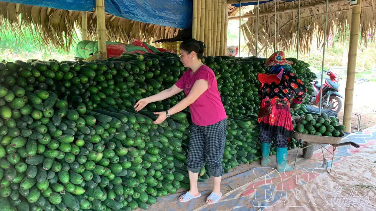 Nâng tầm giá trị nông sản