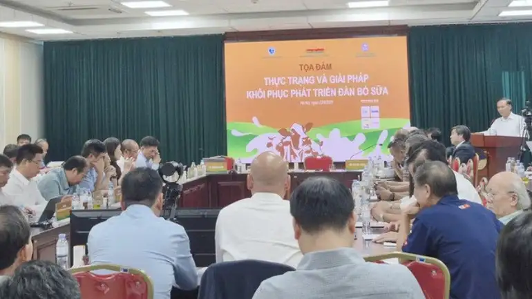 Ngành chăn nuôi bò sữa cần xây dựng chuỗi liên kết bền vững để vượt khó