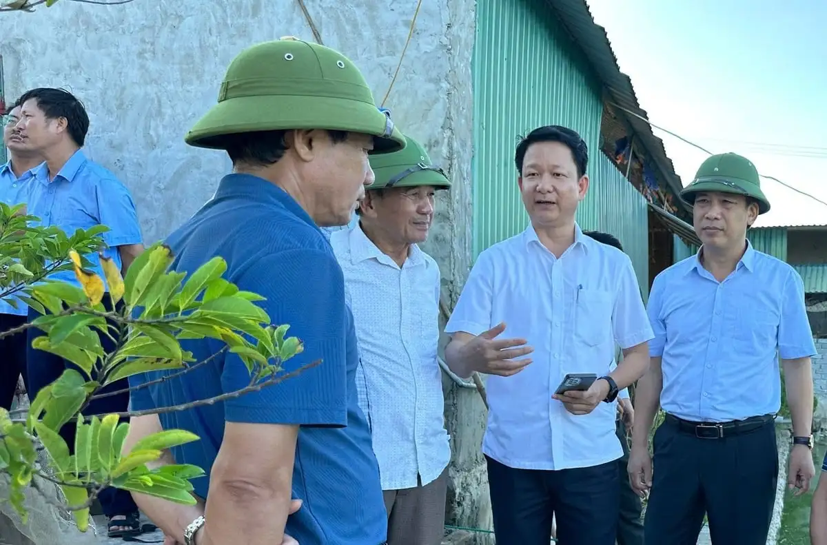 Nghệ An đặt nhiều kỳ vọng vào cá rô phi Hồng Sinh