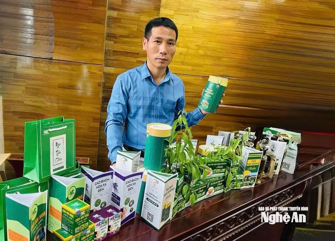 Nghệ An xem xét sửa đổi, nâng mức hỗ trợ hoạt động xúc tiến thương mại và phát triển xuất khẩu giai đoạn 2026-2030