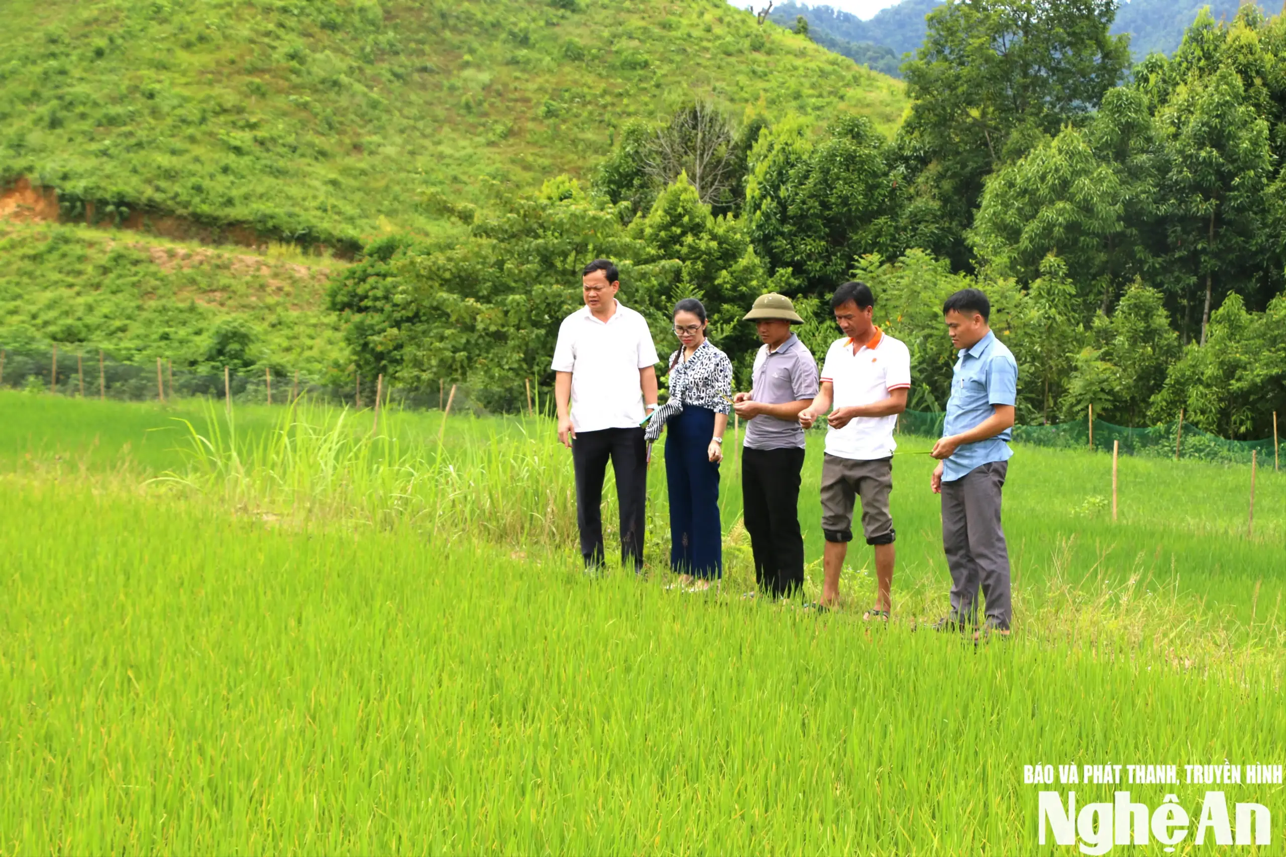 Nghị quyết hay, thôn, bản đổi thay