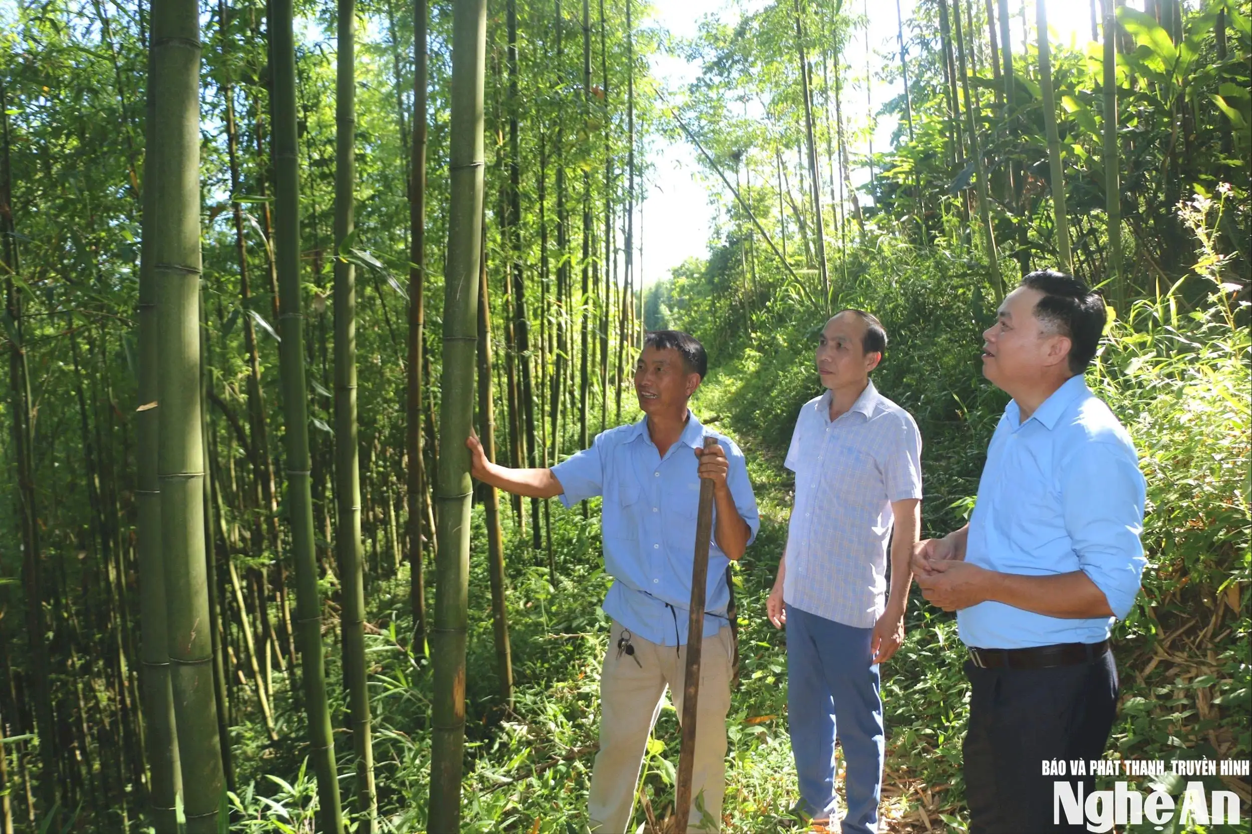 Nghị quyết hay, thôn, bản đổi thay