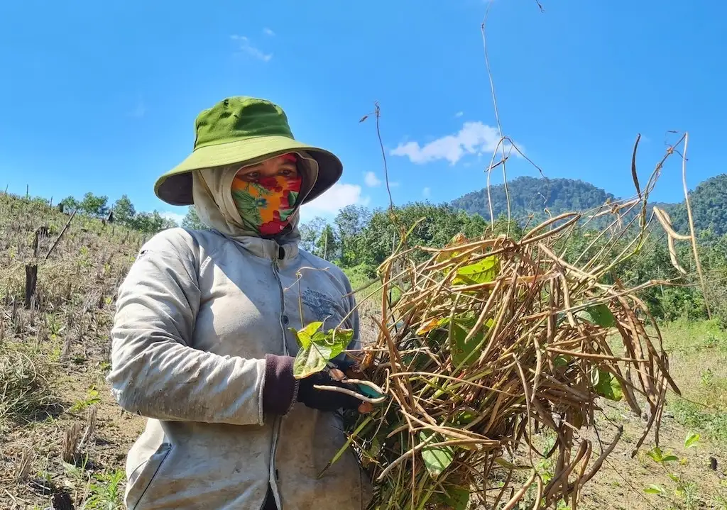Người dân Ba Lòng cùng HTX nâng giá trị nông sản bằng sản phẩm OCOP