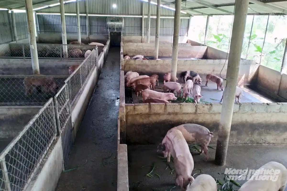 Nhà khoa học của nhà nông và giấc mơ đến từ Nhật Bản