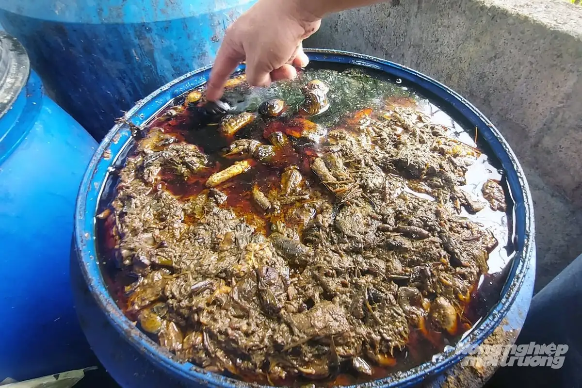 Nhà khoa học của nhà nông và giấc mơ đến từ Nhật Bản