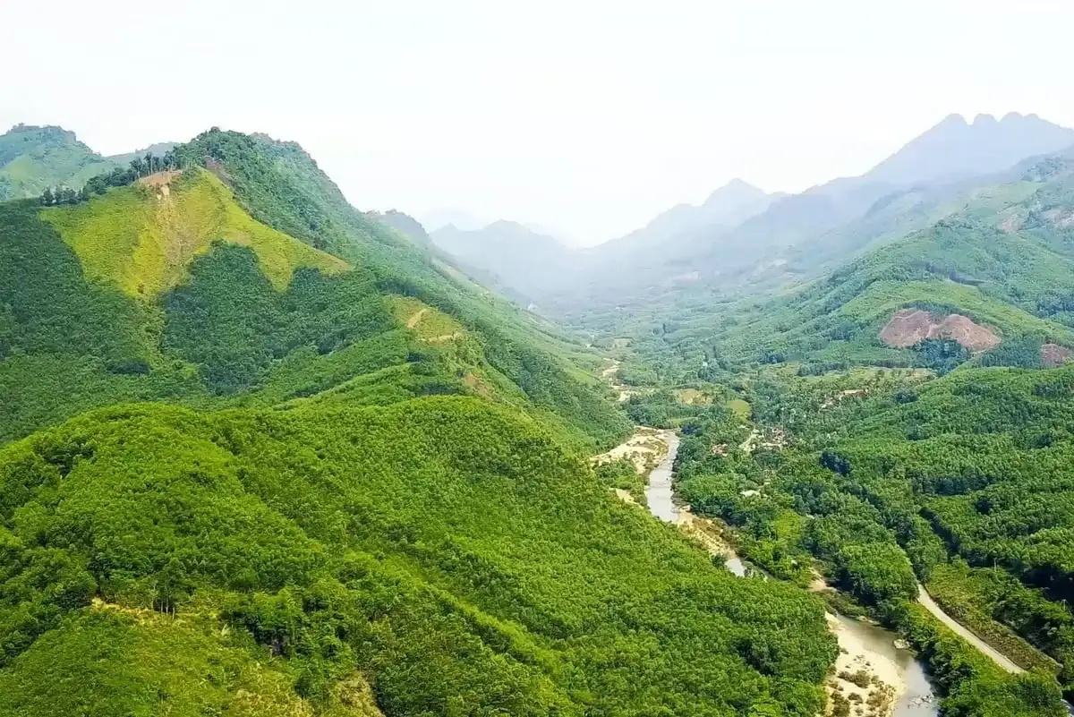 &#8216;Nhân lên&#8217; những cánh rừng gỗ lớn