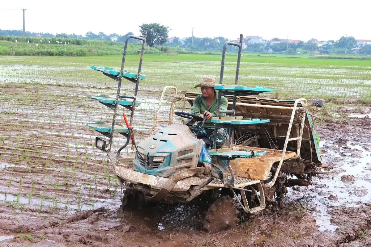 Những cỗ máy thay sức người cùng tám thập kỷ đổi thay trên đồng ruộng