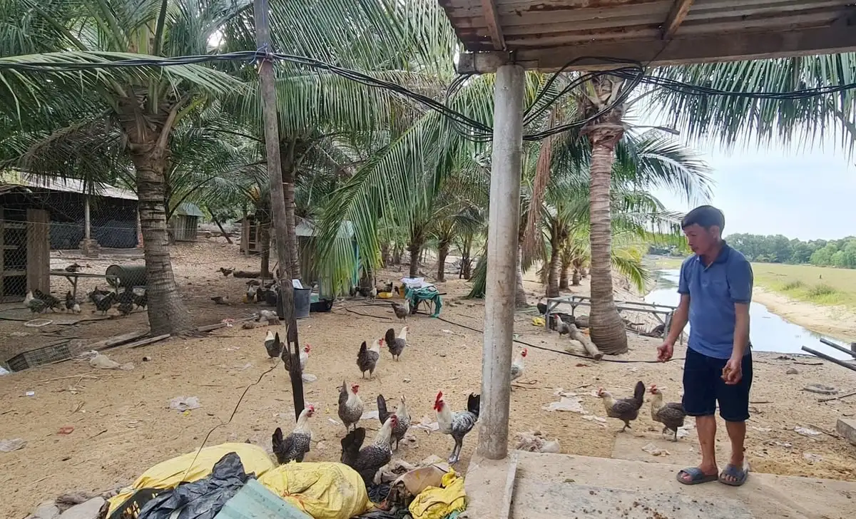 Những mô hình chăn nuôi chi phí thấp hiệu quả cao