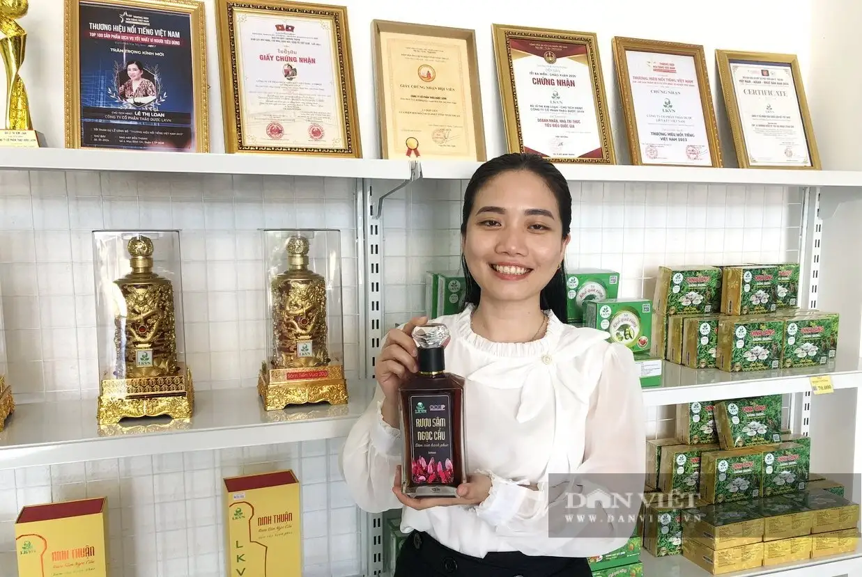 Nông dân tỉnh Khánh Hòa mới, liên kết với doanh nghiệp trồng cây dược liệu, tạo ra sản phẩm ngon, đạt sao OCOP
