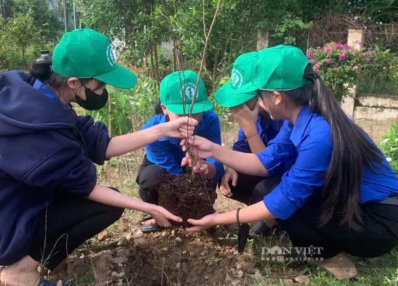 Nông dân xã miền núi tỉnh Lâm Đồng (tỉnh Bình Thuận trước đây) rủ nhau trồng cây xanh làm đẹp tuyến đường nông thôn mới