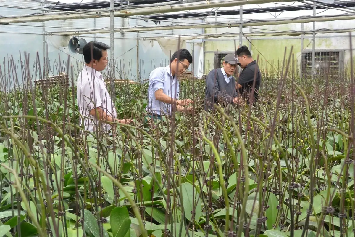 Nông nghiệp công nghệ cao dẫn dắt kinh tế xanh