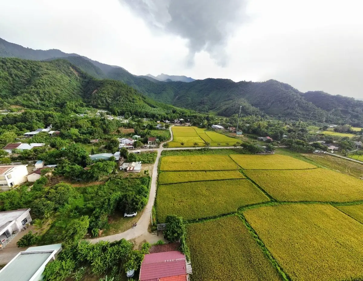 Nông nghiệp công nghệ cao dẫn dắt kinh tế xanh