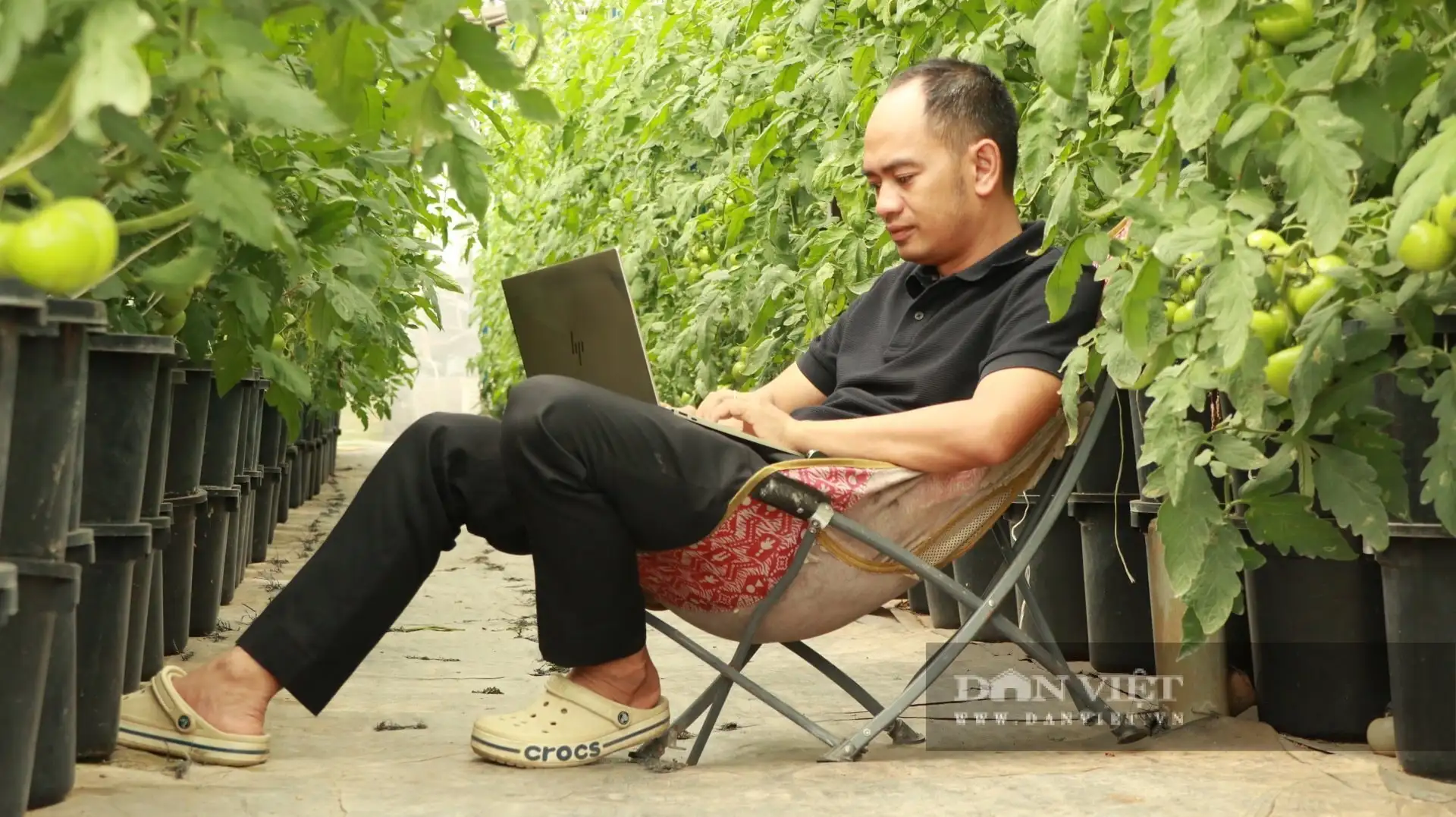 Nông nghiệp công nghệ cao Lâm Đồng, nông dân tưới rau, chăm hoa mà chả phải ra vườn nhờ chuyển đổi số