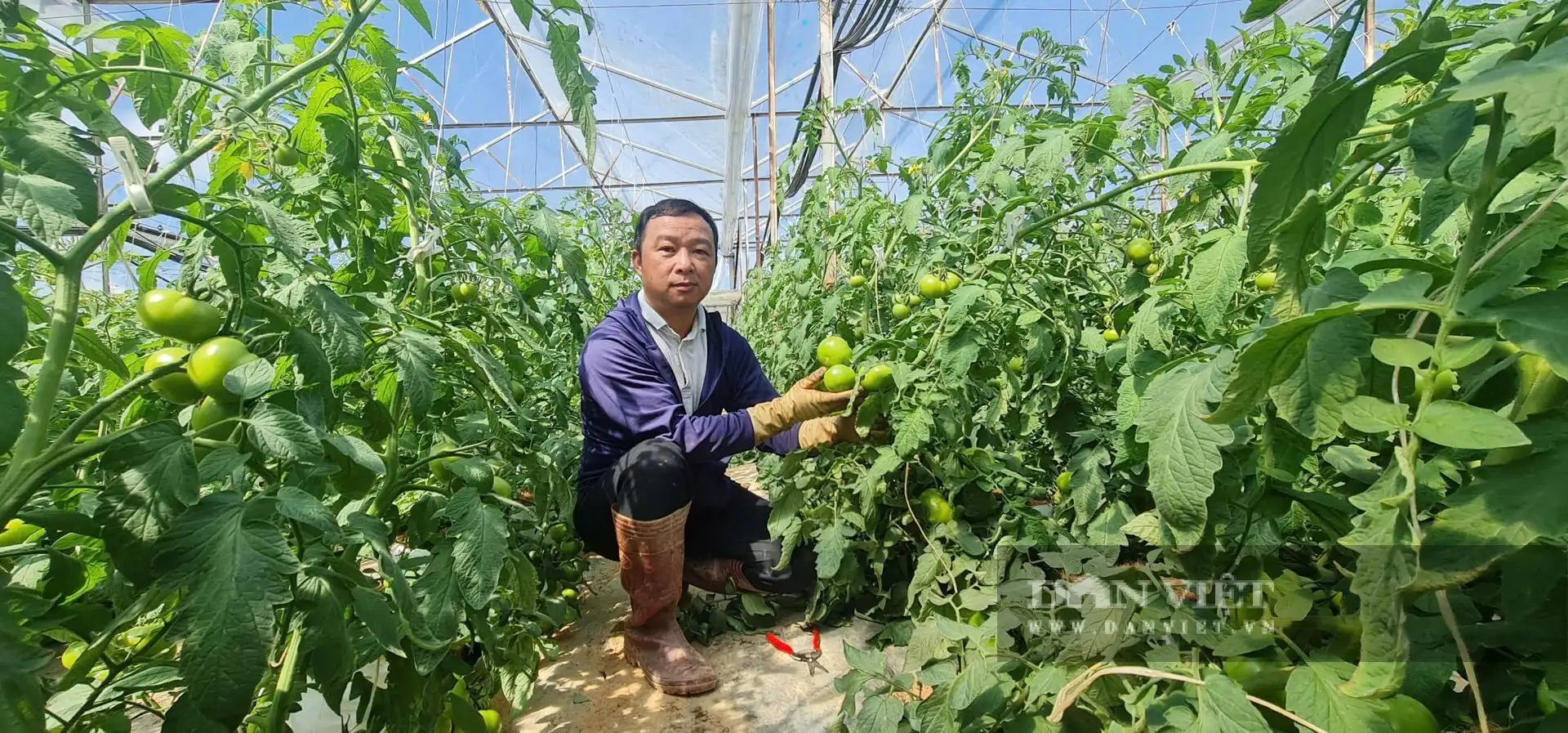 Nông nghiệp công nghệ cao Lâm Đồng, nông dân tưới rau, chăm hoa mà chả phải ra vườn nhờ chuyển đổi số