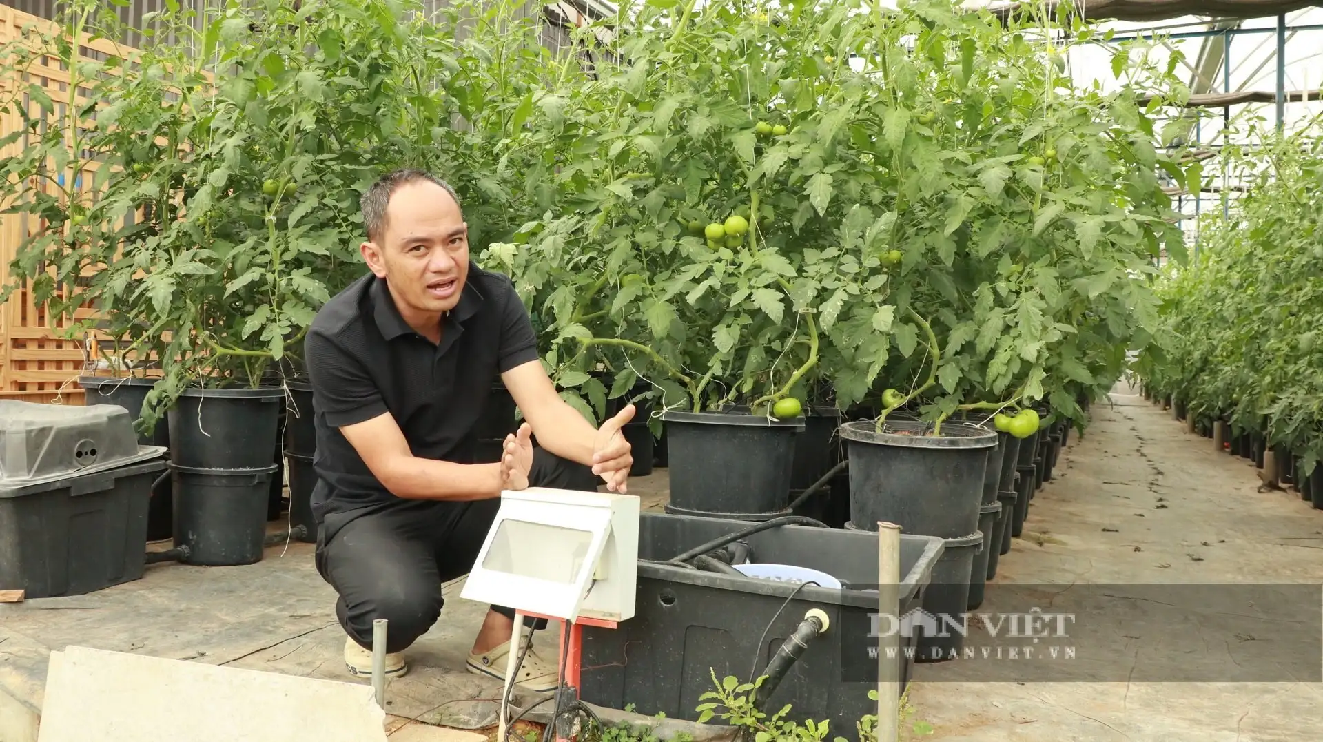 Nông nghiệp công nghệ cao Lâm Đồng, nông dân tưới rau, chăm hoa mà chả phải ra vườn nhờ chuyển đổi số