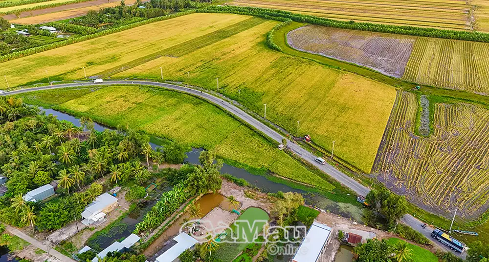 Nông thôn mới – Làng quê khởi sắc