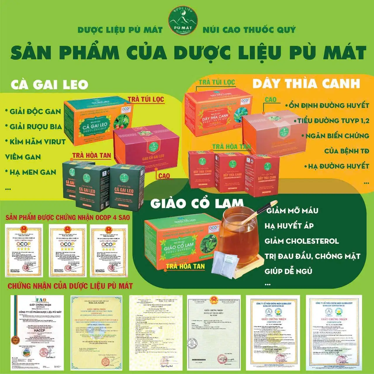 Chương trình OCOP nâng tầm sản phẩm dược liệu tại Nghệ An