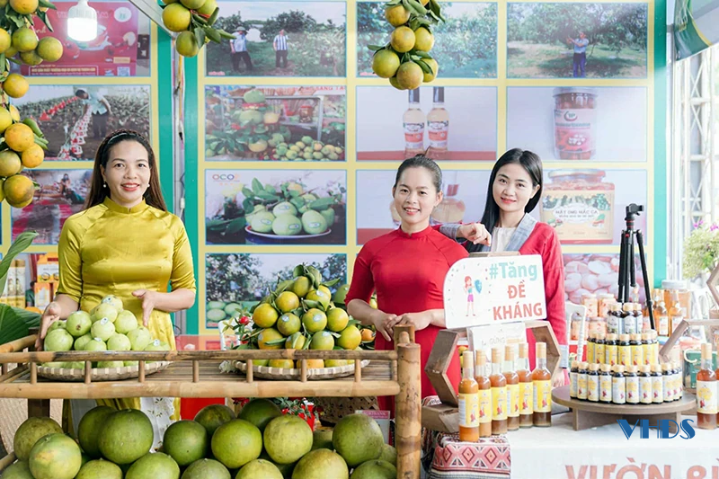 Nông dân vùng cao số hóa nông sản mở rộng thị trường