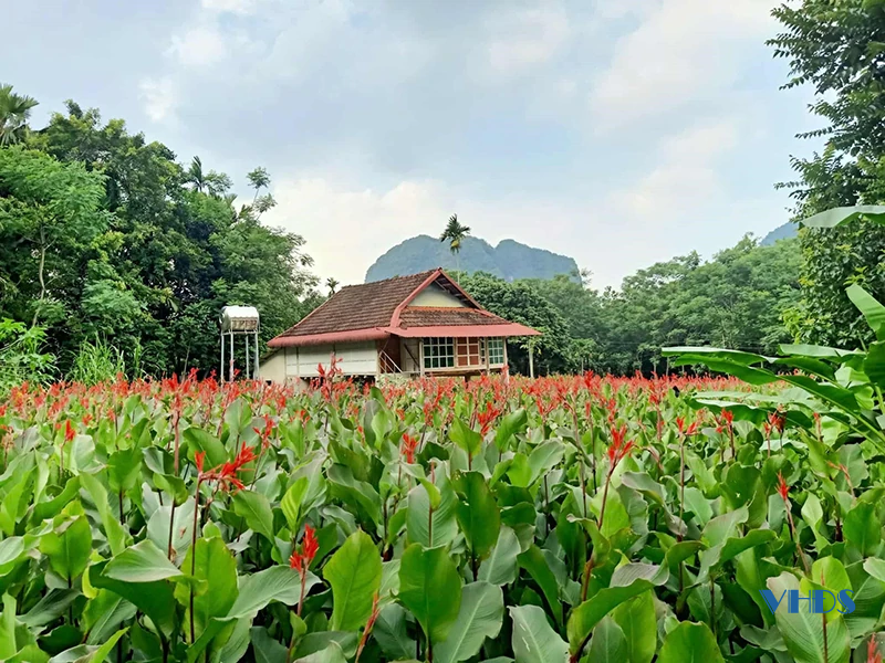Nông dân vùng cao số hóa nông sản mở rộng thị trường