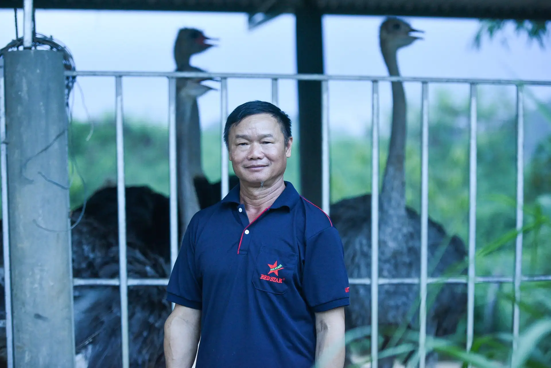 Nuôi chim khổng lồ cả đời chả bay, nuôi heo mát tay, một người Đắk Lắk được bình chọn là Nông dân Việt Nam xuất sắc