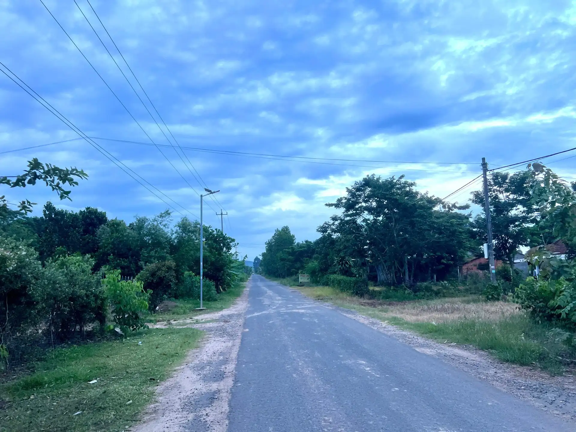 Nuôi chim khổng lồ cả đời chả bay, nuôi heo mát tay, một người Đắk Lắk được bình chọn là Nông dân Việt Nam xuất sắc