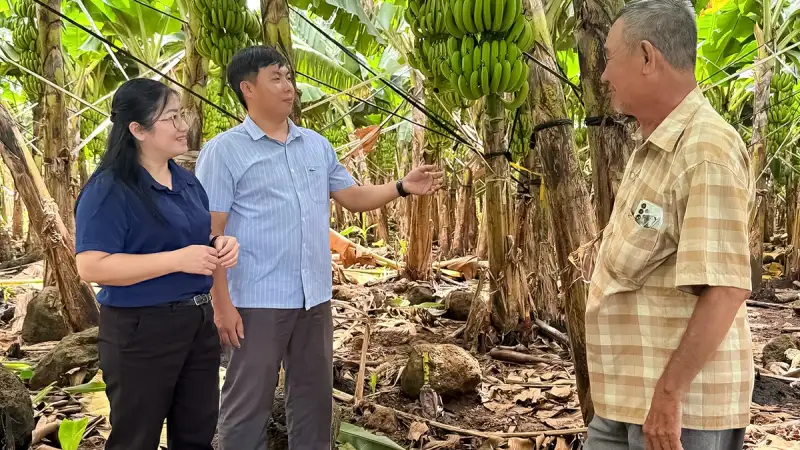 Nuôi con đặc sản bình dân gì ở Hà Tĩnh mà chả tốn tiền mua thức ăn chăn nuôi, hễ bán là hết veo?
