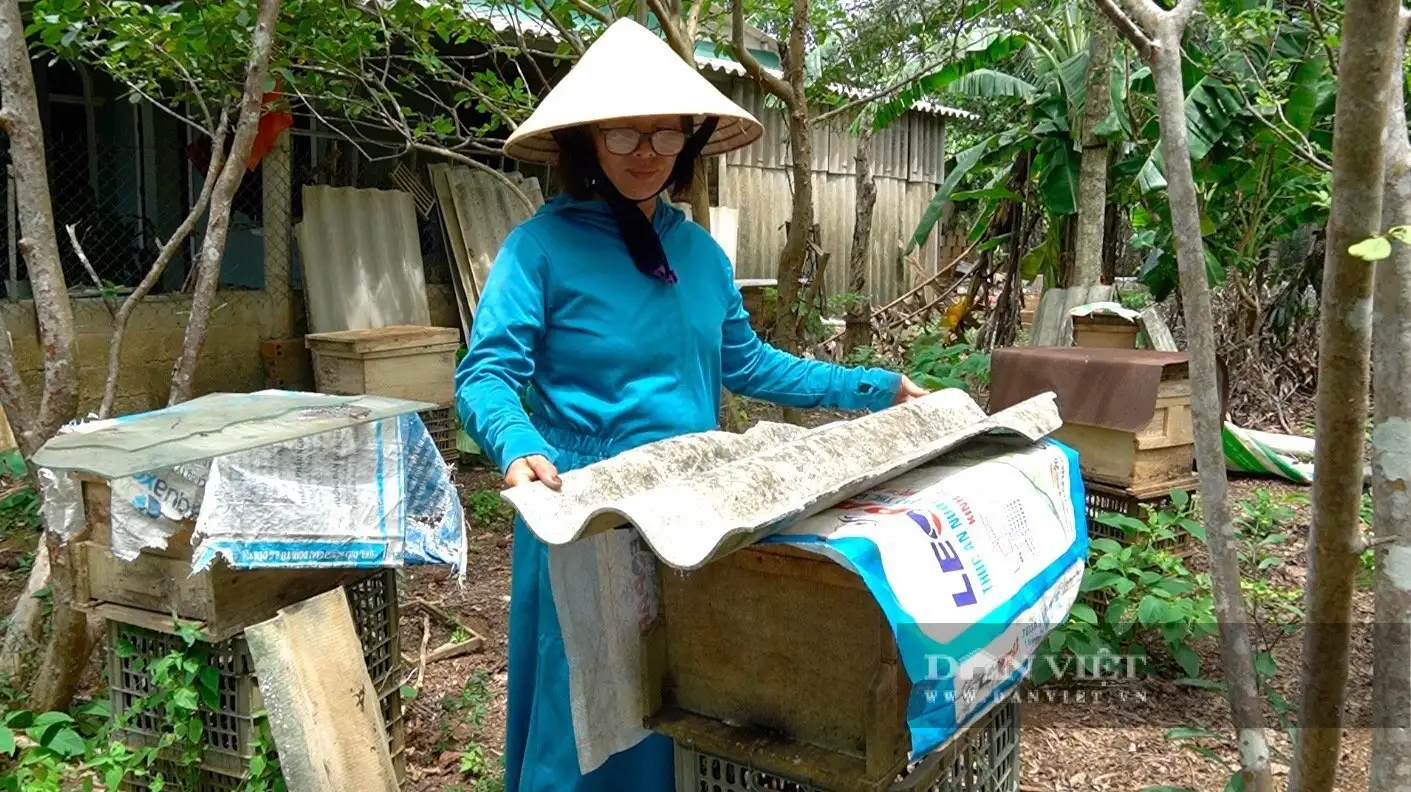 Nuôi con động vật “tự làm tự ăn”, dân nơi này ở Quảng Trị chăm nhàn lại rủng rỉnh tiền tiêu