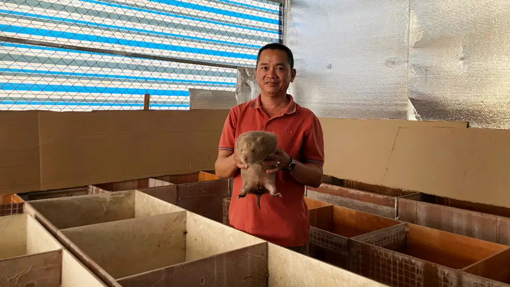 Nuôi dúi giúp nhiều hộ dân Thái Nguyện thoát nghèo, làm giàu