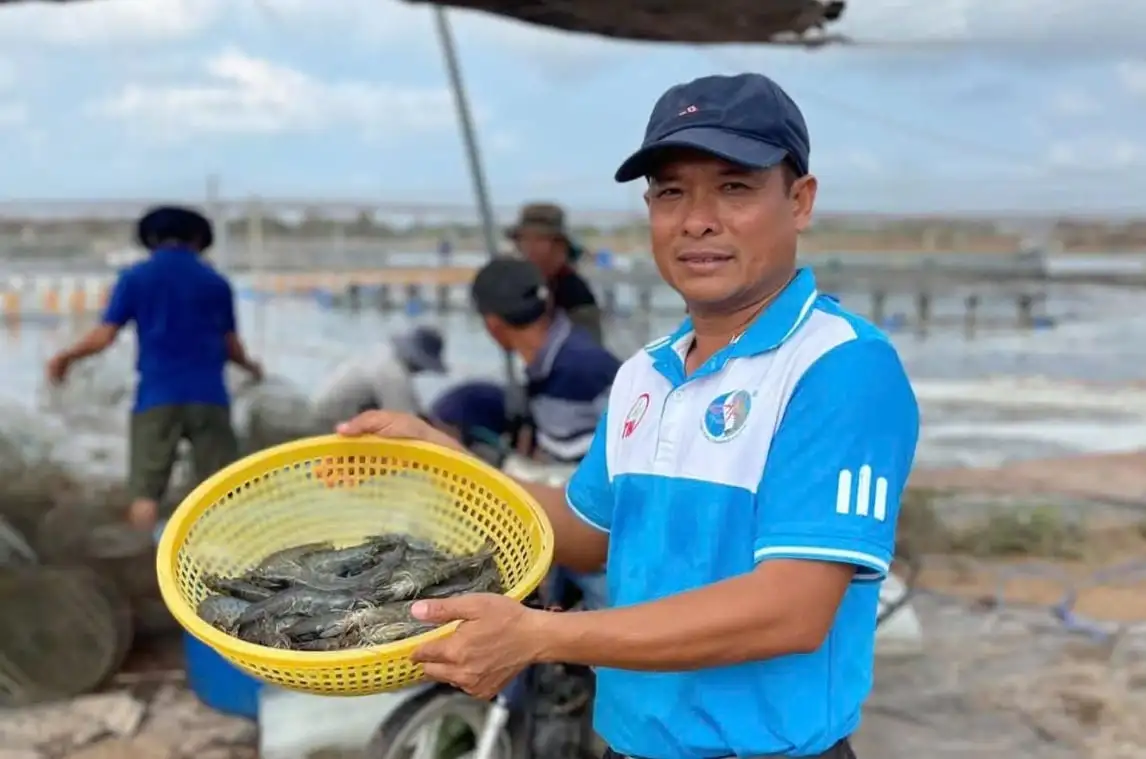 Nuôi tôm công nghệ cao, nông dân ĐBSCL lãi lớn nhờ giá tăng