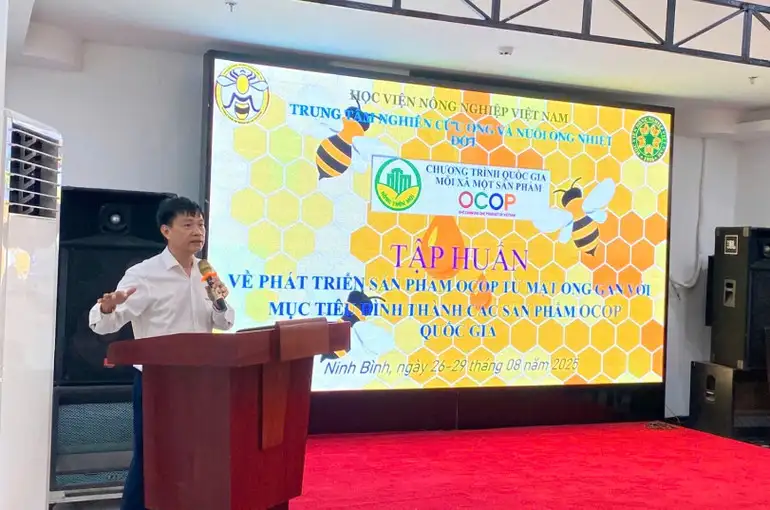 OCOP mật ong: Từ chuẩn hóa sản xuất đến mở rộng thị trường