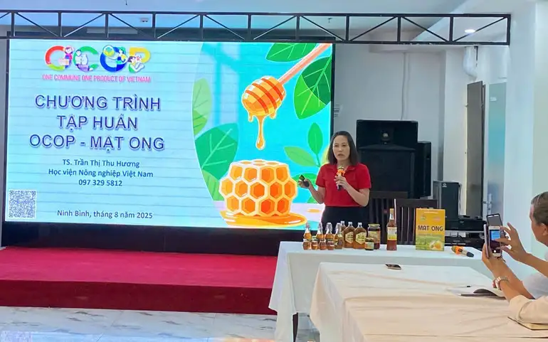 OCOP mật ong: Từ chuẩn hóa sản xuất đến mở rộng thị trường