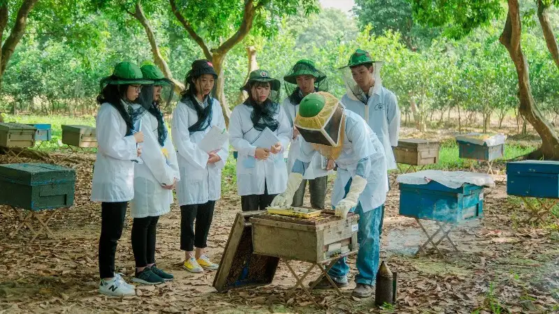 OCOP mật ong: Từ chuẩn hóa sản xuất đến mở rộng thị trường