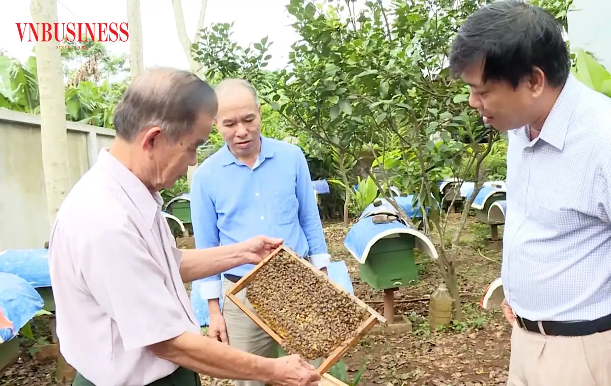 OCOP nở rộ trong lòng nông thôn mới, nông dân xứ Nghệ ‘tiền đầy túi’