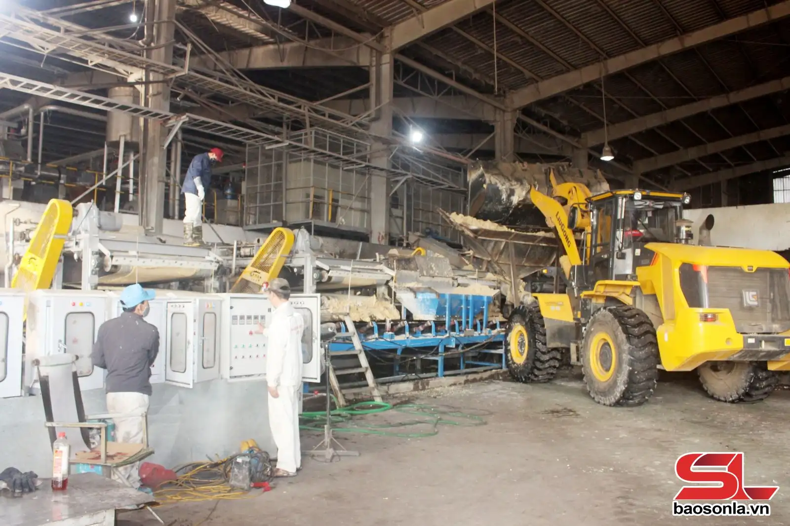 Phát triển chuỗi liên kết sản xuất, tiêu thụ và chế biến nông sản