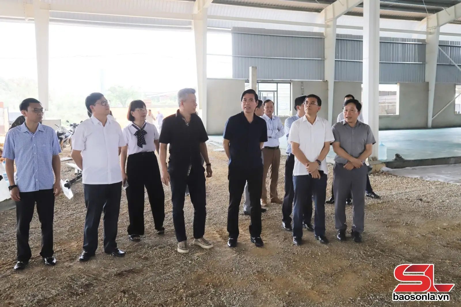 Phát triển chuỗi liên kết sản xuất, tiêu thụ và chế biến nông sản