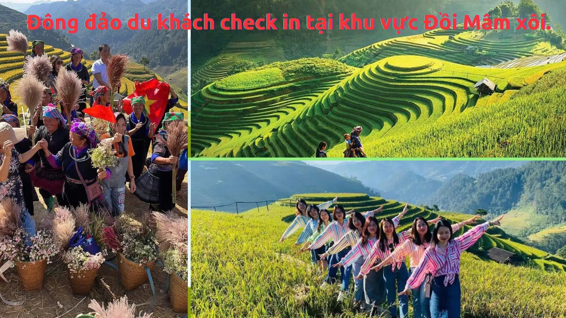 Phát triển nông, lâm nghiệp gắn với chuỗi giá trị ở vùng đồng bào và dân tộc thiểu số