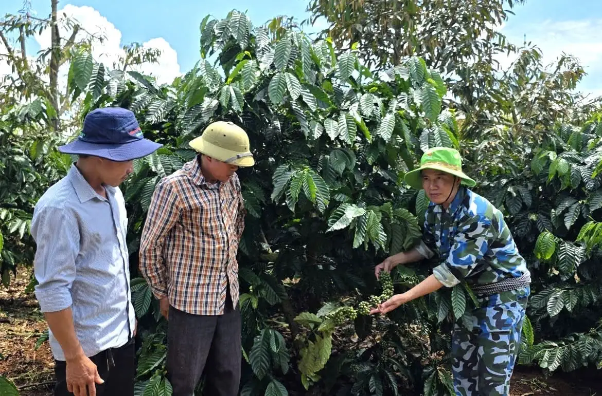 Phủ rộng nông nghiệp hữu cơ đến thôn làng