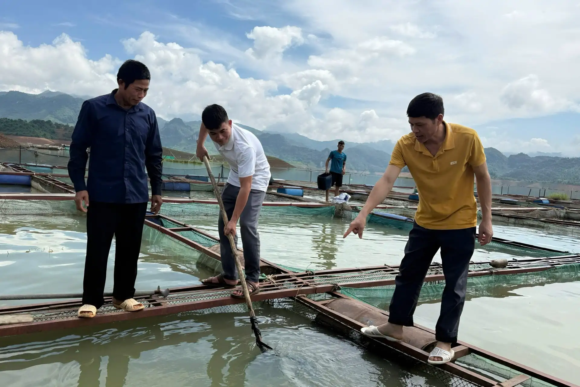 Quỳnh Nhai tạo sinh kế bền vững từ phát triển nuôi cá lòng hồ