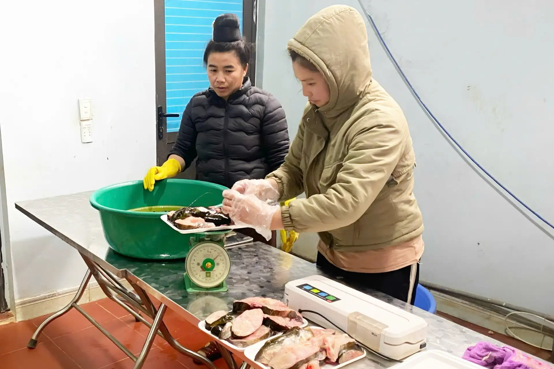 Quỳnh Nhai tạo sinh kế bền vững từ phát triển nuôi cá lòng hồ