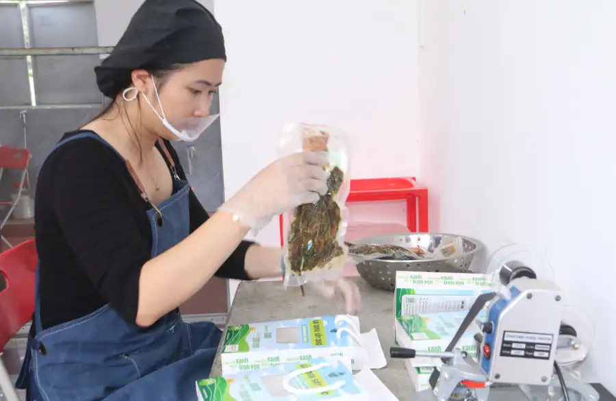Sản xuất nông nghiệp gắn với thị trường: Hiệu quả “kép”