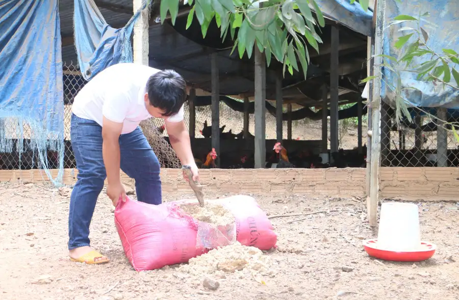Sản xuất nông nghiệp gắn với thị trường: Hiệu quả “kép”