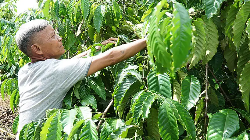 Sẽ có tiêu chí thu nhập mới với chuẩn nghèo đa chiều quốc gia giai đoạn 2026-2030