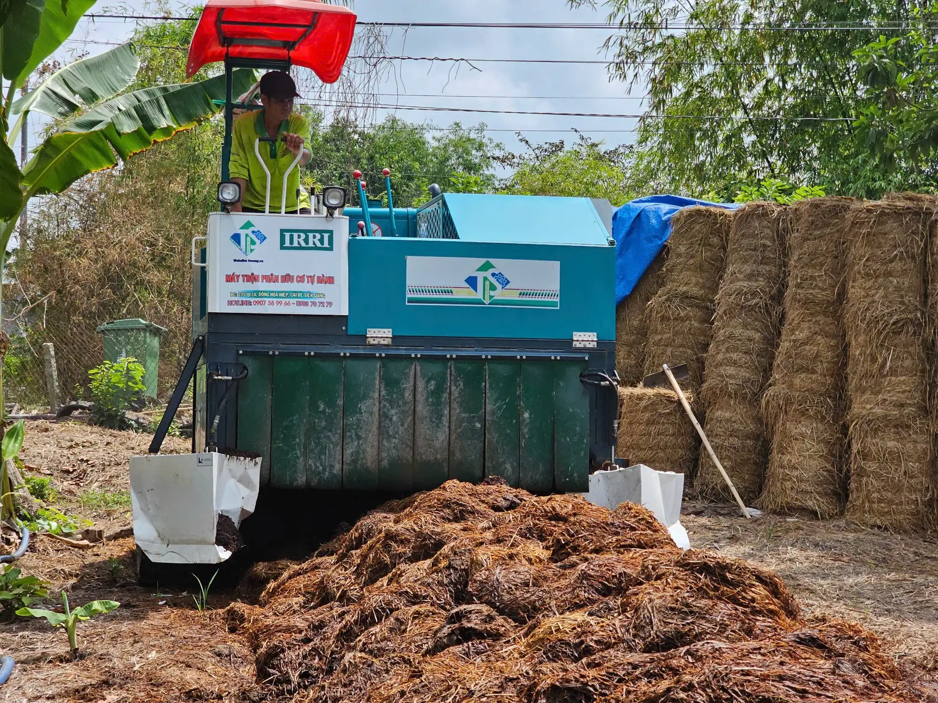 Sinh lợi kép với khoai lang tím và rơm lúa