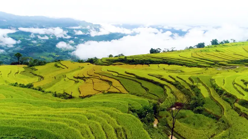 Sớm ban hành quy định mới về chuẩn nghèo đa chiều quốc gia giai đoạn 2026-2030