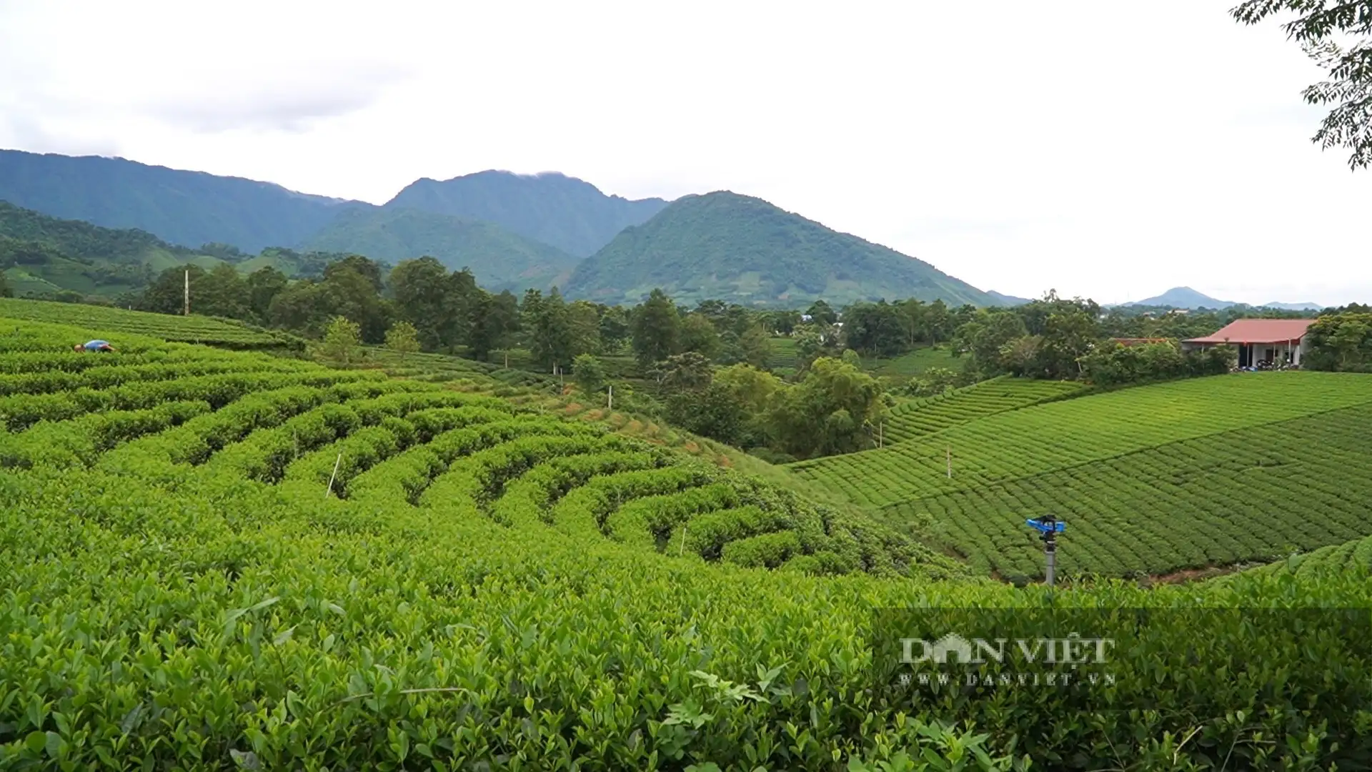Thái Nguyên, Lào Cai, Phú Thọ, Tuyên Quang tìm cách phát triển nông nghiệp tuần hoàn gắn với du lịch trải nghiệm