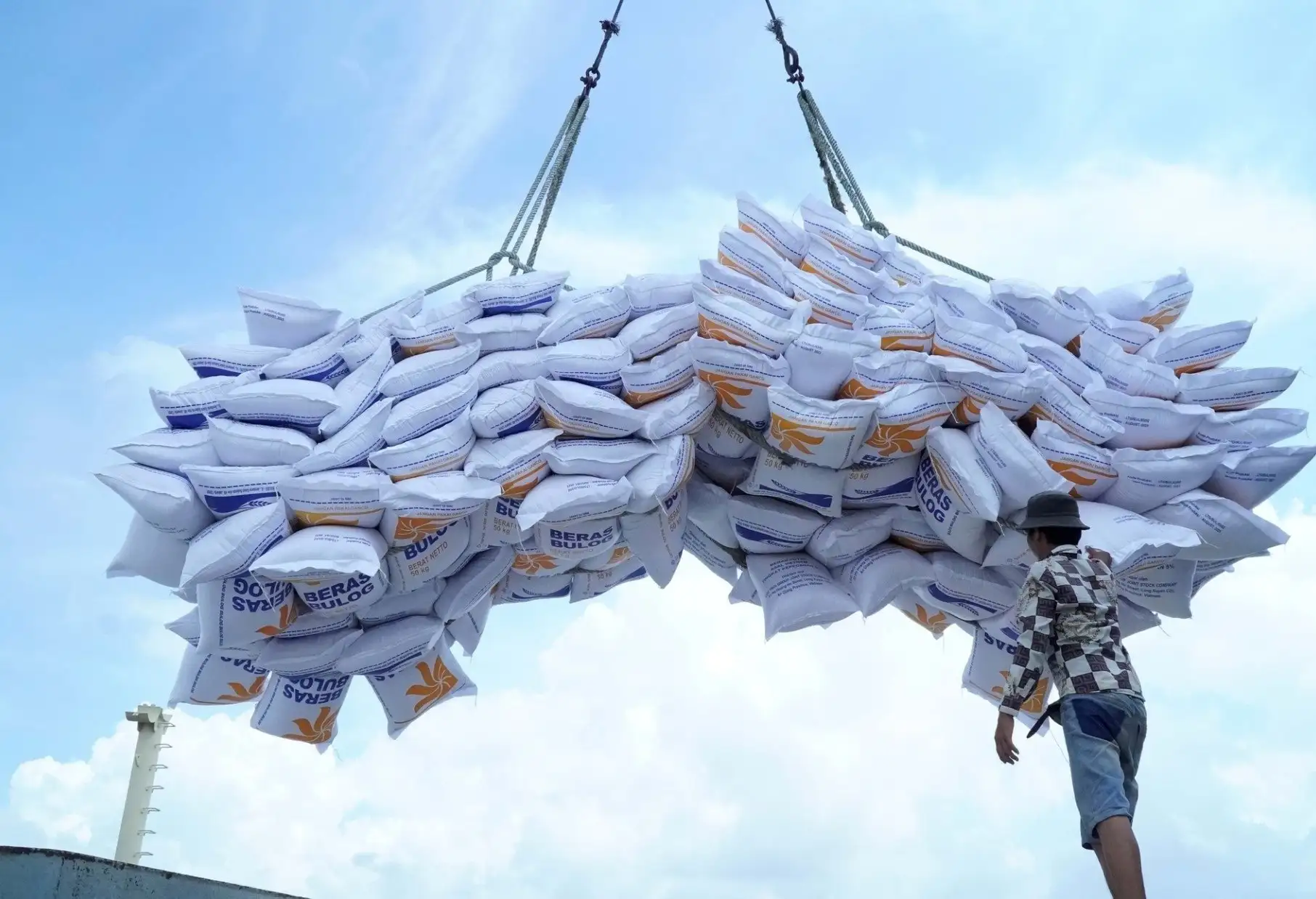 Thủ tướng có công điện chỉ đạo nóng về lúa gạo: Đa dạng hóa thị trường xuất khẩu, ứng dụng giống mới vào sản xuất
